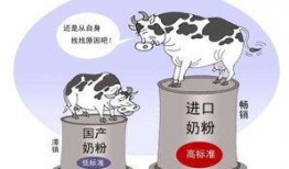 哈尔滨奶粉爆料案件最新,揭开食品安全黑幕，守护百姓餐桌安全